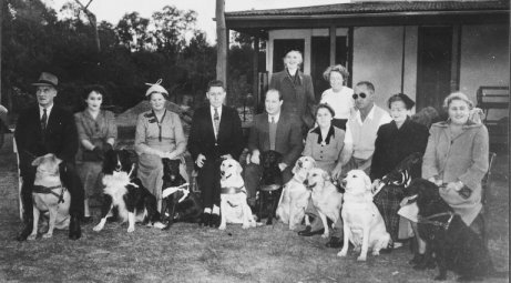 First Australian Guidedogs