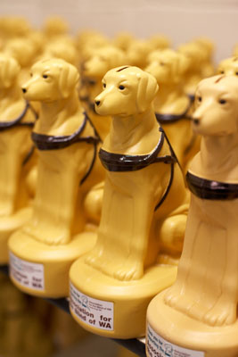 A line of minidogs