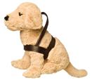 Guide Dog Pup in Harness