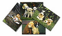 Guide Dog Greeting Cards