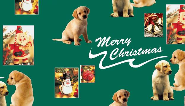 Guide Dog Chrismas Wrapping Paper
